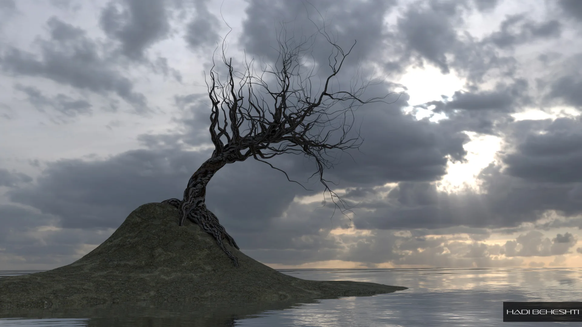 Solitary tree on a small island beneath cloudy skies
