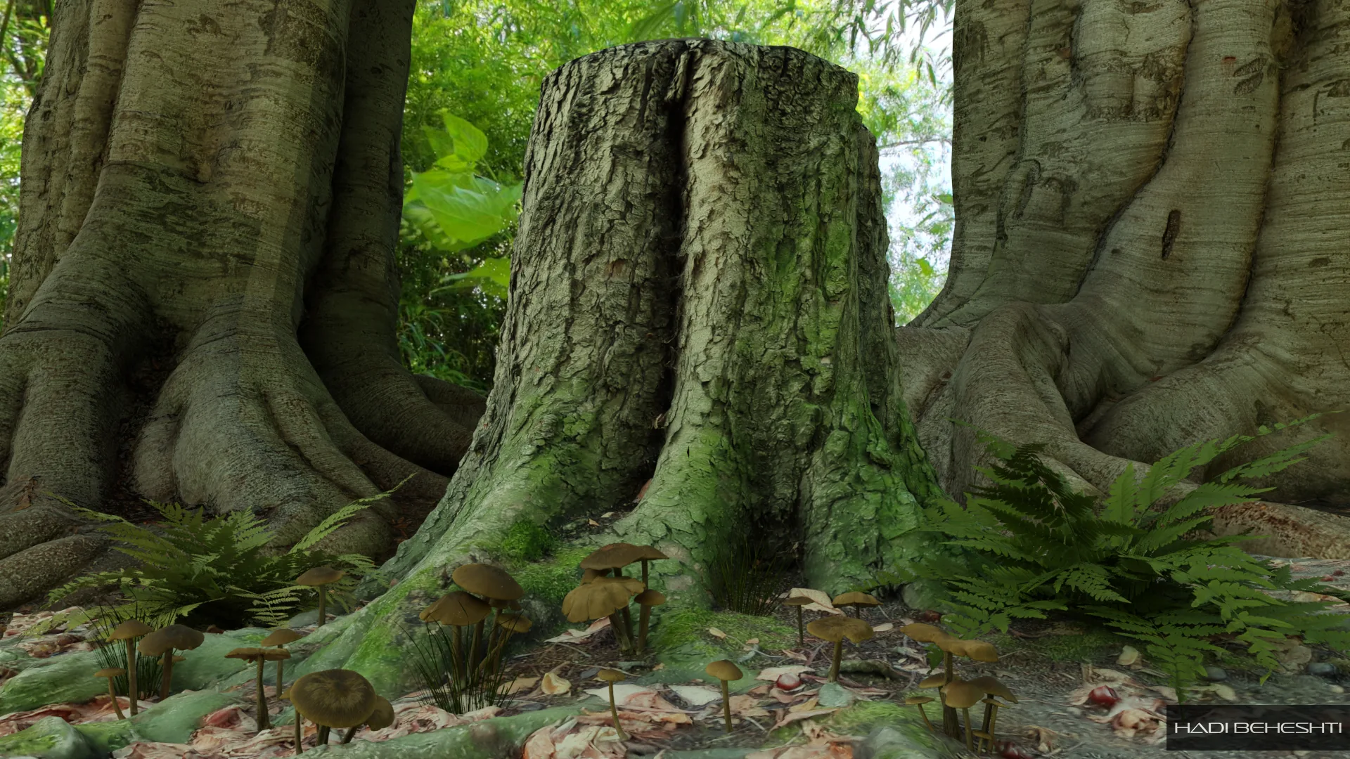 Tree roots and moss in a shaded forest