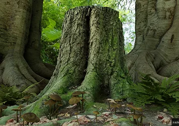 Trees — Environment Design — project cover artwork