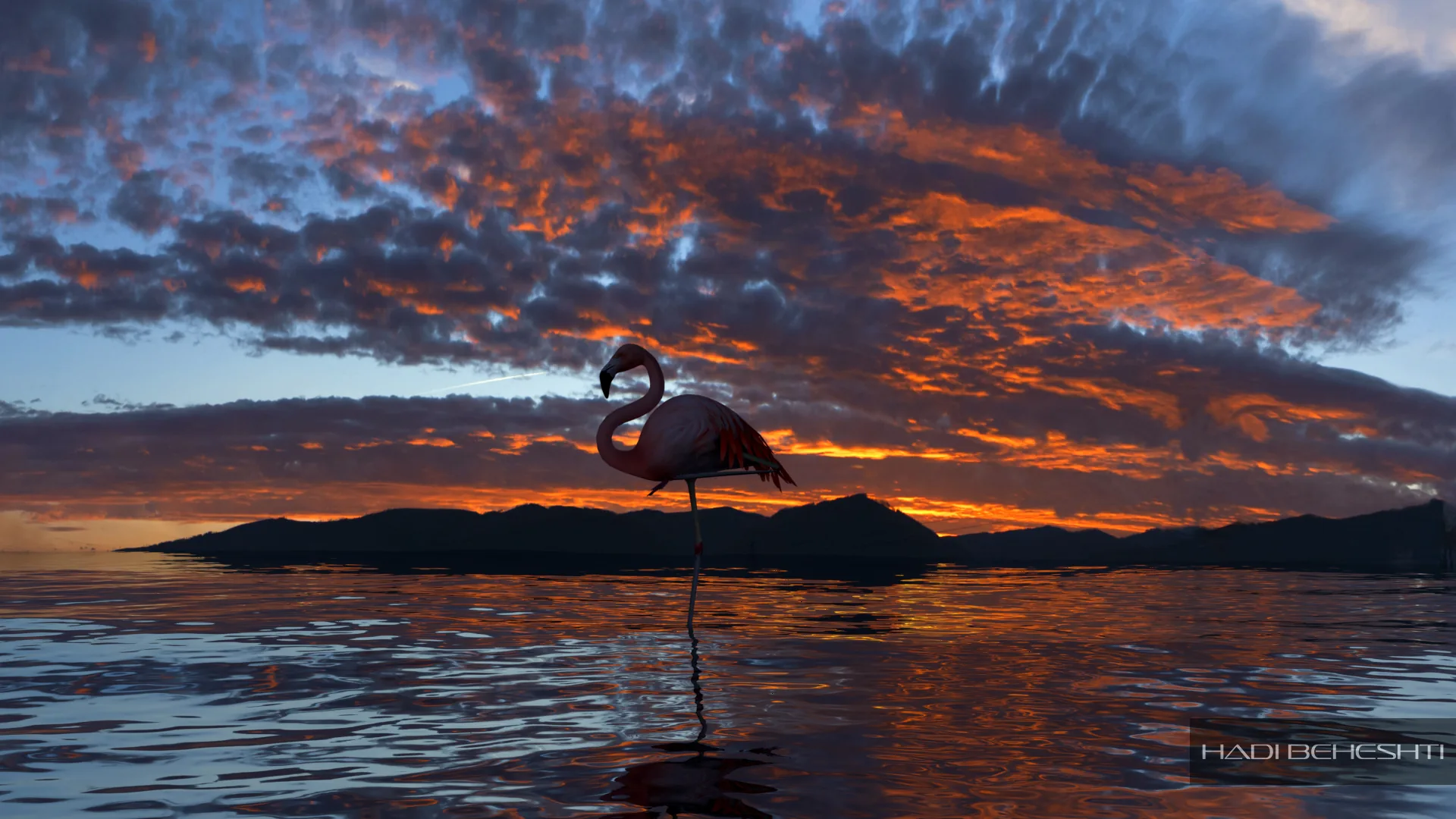 Flamingo standing in water beneath a sunset sky