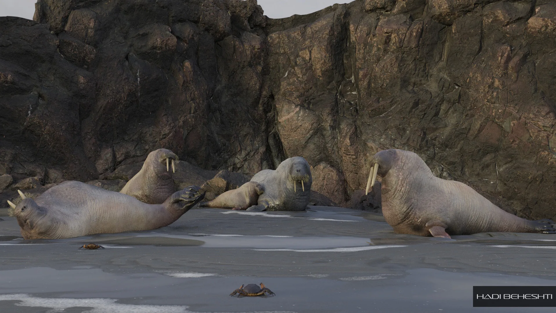 Walruses resting against a rocky shoreline