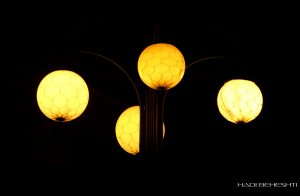 Hive bulbs-Photo by Hadi Beheshti